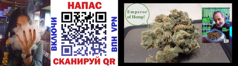 МАРИХУАНА планчик Омск